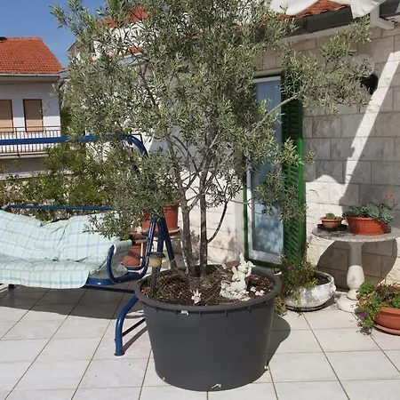 Decor 1830 * טרוגיר