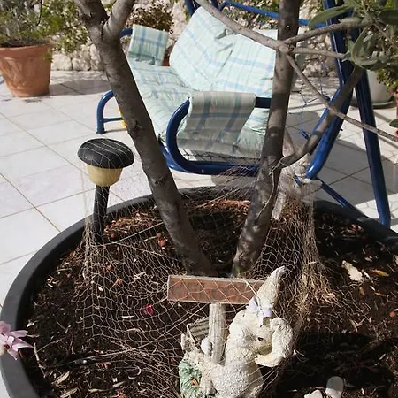 Decor 1830 טרוגיר